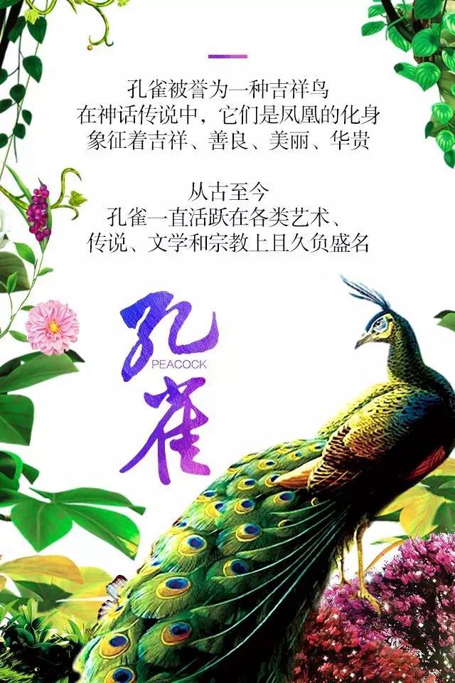 【915-918邵陽秋季車展】鳳臨枝頭，雀雀雀雀雀實驚艷！
