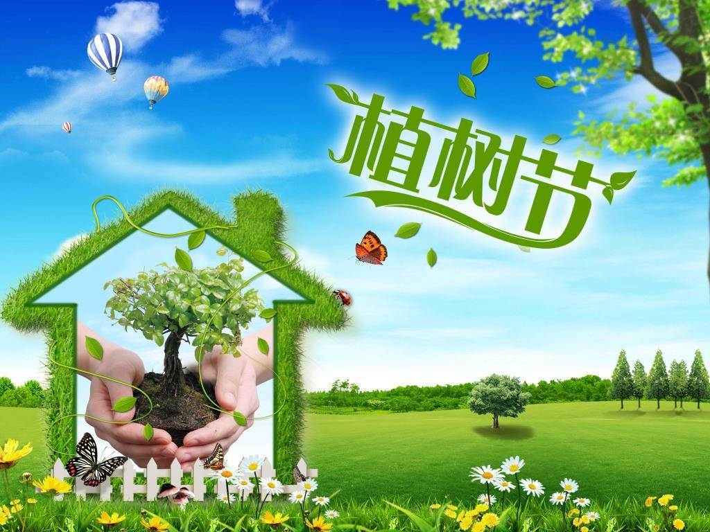 北京現(xiàn)代“智現(xiàn)代，植未來”，你我共建森林邵陽